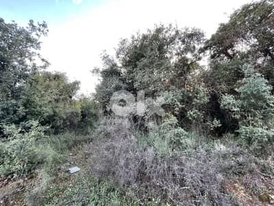 land for sale ارضً للبيع فيً منطقه البترون