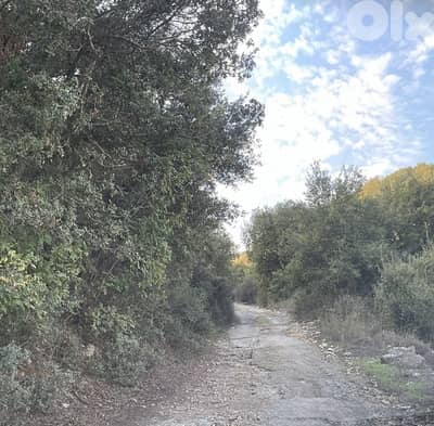 land for sale ارضً للبيع فيً منطقه البترون