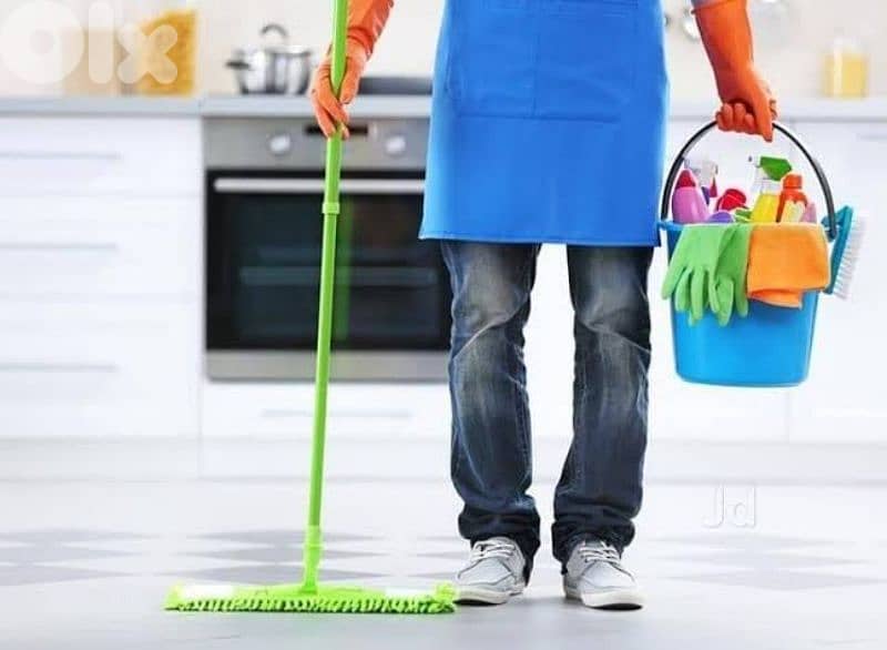تنظيف منازل 0