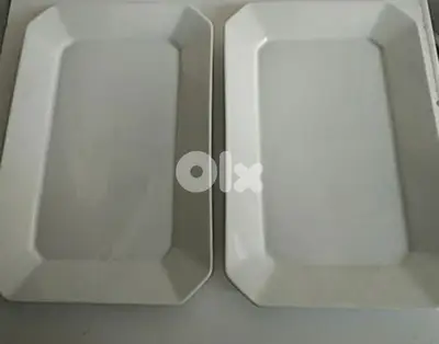 Two large plates - Not Negotiable