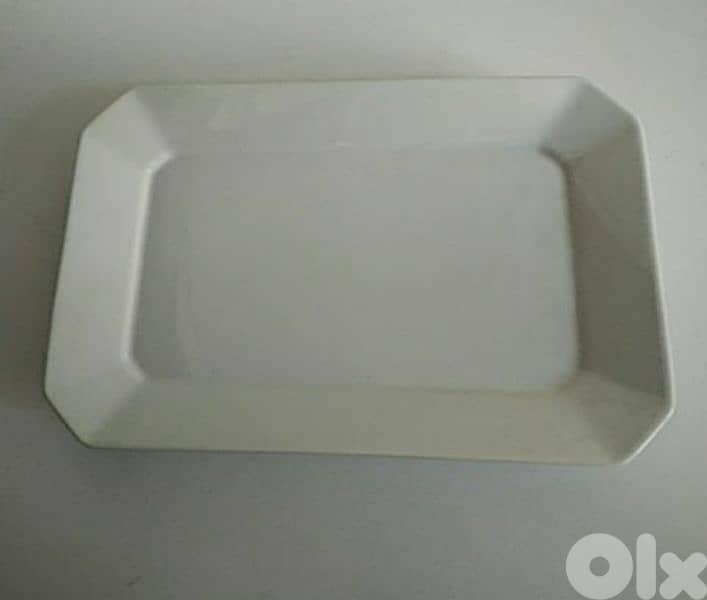 Two large plates - Not Negotiable 1