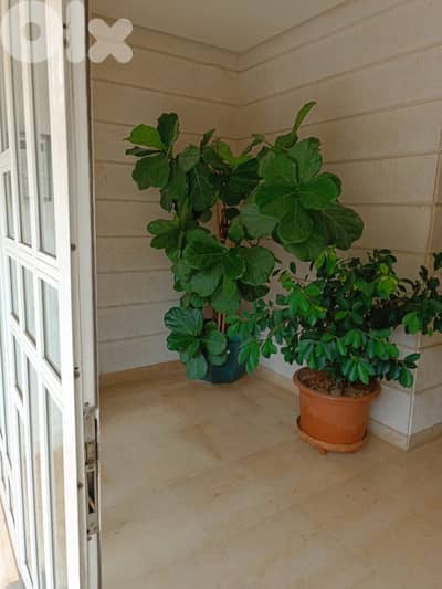 Apartment for sale in Kfarhbab | شقة للبيع في كفرحباب Apartment for sale in Kfarhbab | شقة للبيع في كفرحباب