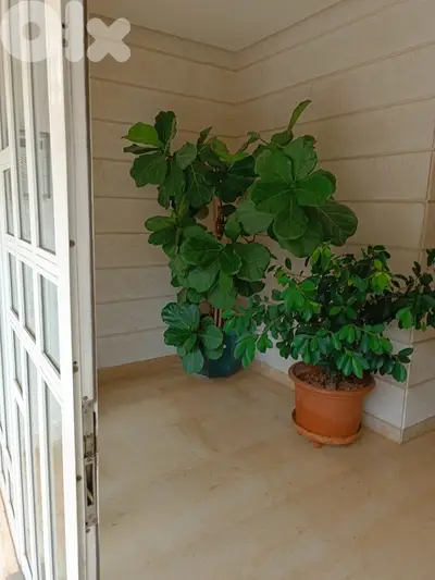 Apartment for sale in Kfarhbab | شقة للبيع في كفرحباب Apartment for sale in Kfarhbab | شقة للبيع في كفرحباب