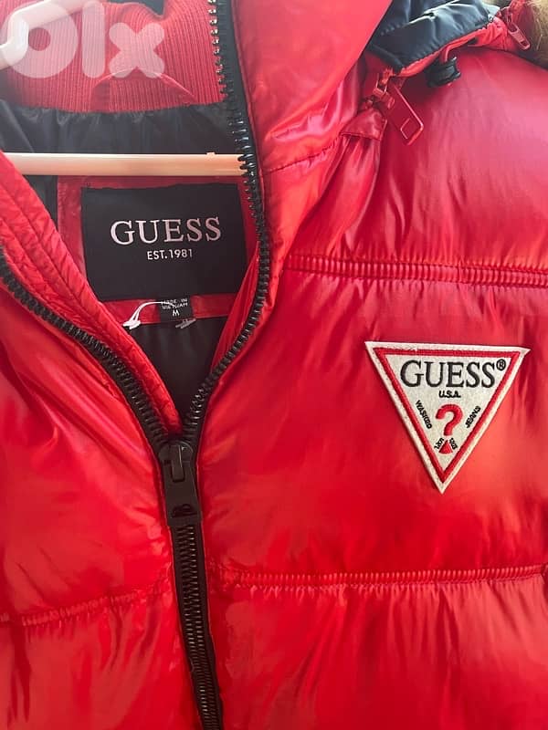 guess 5
