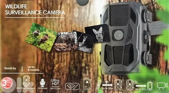 wildlife camera