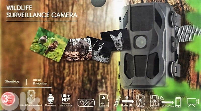 wildlife camera 0