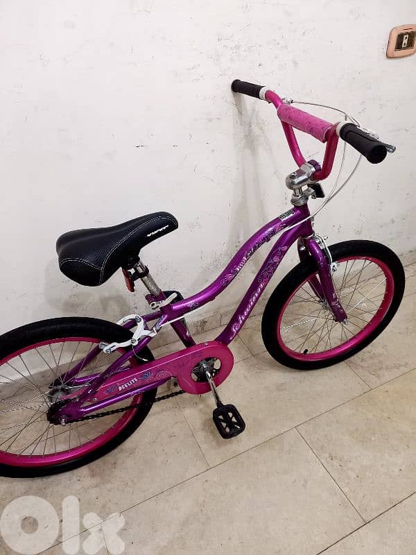 بسكليت schwinn usa 0