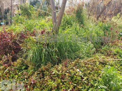 Unique Land For sale in Kaslik