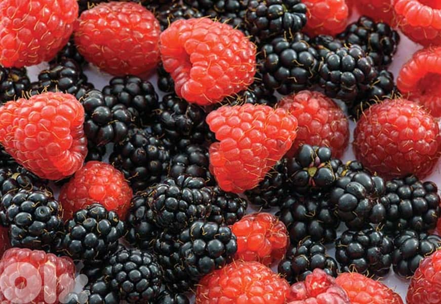 quality blueberries  and Strawberries ,cherries 0
