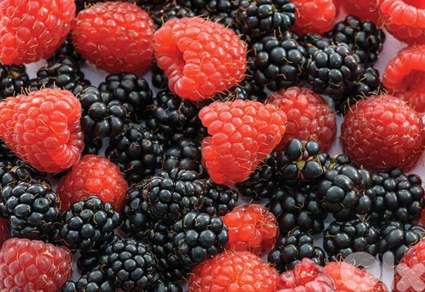 quality blueberries  and Strawberries ,cherries 1