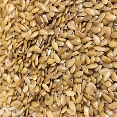 flax seed  (Lin Seed)