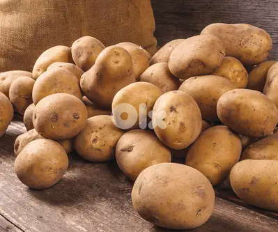 Quality Potatoes Quality Potatoes