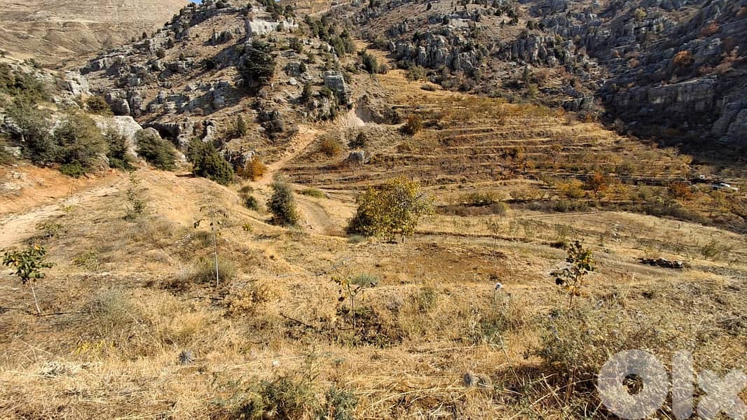 Huge Mountain include 9 lands For Sale in Tannourine 0