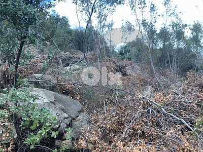 Hot Deal for Investors & Developers - Adonis – Jbeil REF#RS130048