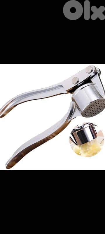 stainless steel garlic press 1