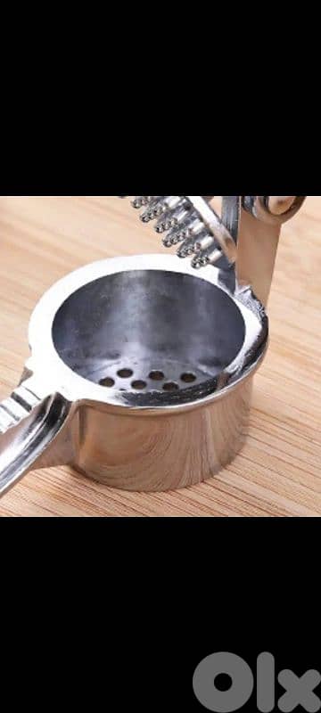 stainless steel garlic press 2