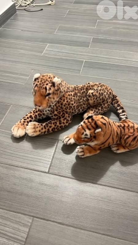 tiger & lion 1