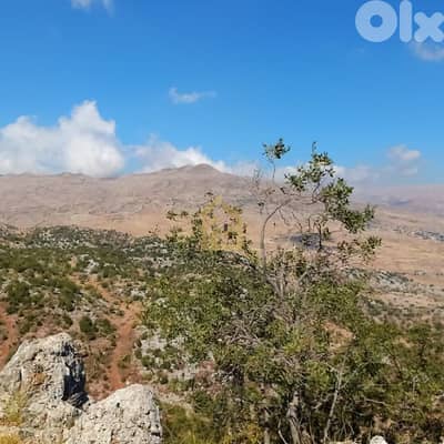 Land for sale in Ain Dara DW14 أرض للبيع في عين دارة