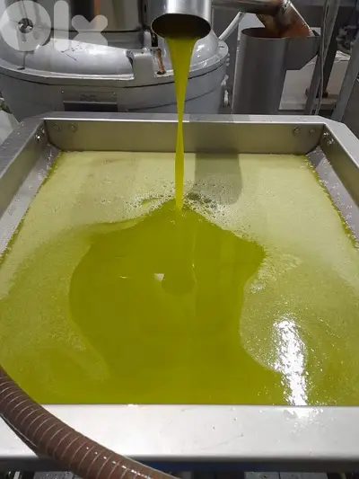 olive oil for sale