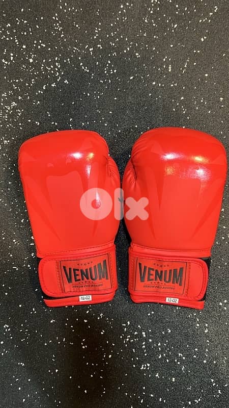 core boxing Gloves 1