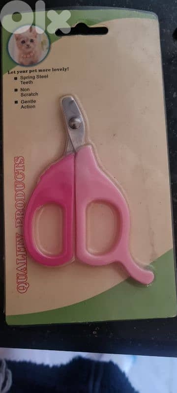 cat accessories 7