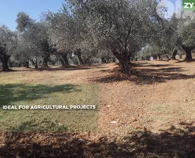 Ideal For Agricultural Projects - Zgharta- Alma REF#ZY130158