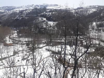 GMK167SS Land For Sale In Kfardebian - أرض للبيع في كفردبيان