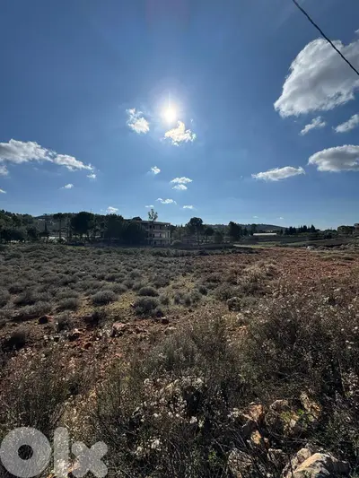 عقار مميز للبيع في النميرية النبطية -Special Land for Sale in Nmairieh