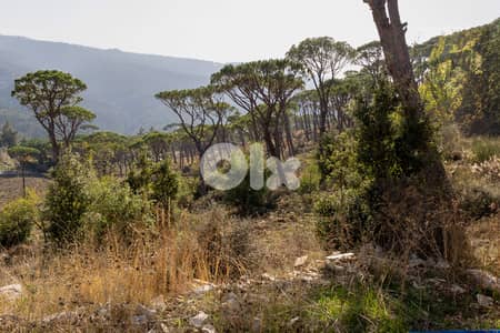 Development Land in Baabdat/Oyoun - أرض استثمارية مميزة في بعبدات–عيون