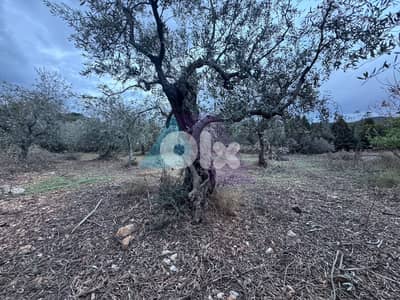 1104m2 Prime Land+sea view 4Sale in the Heart of Batrounأرض في البترون
