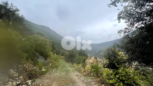 RWB325CA - Land for sale in Jbeil - Haqel