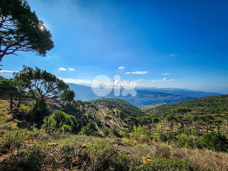 INVESTMENT POTENTIAL | 5,600sqm land for sale in Dhour el choueir 0