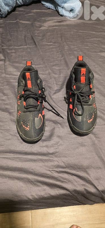 Adidas Pro N3XT shoe 0