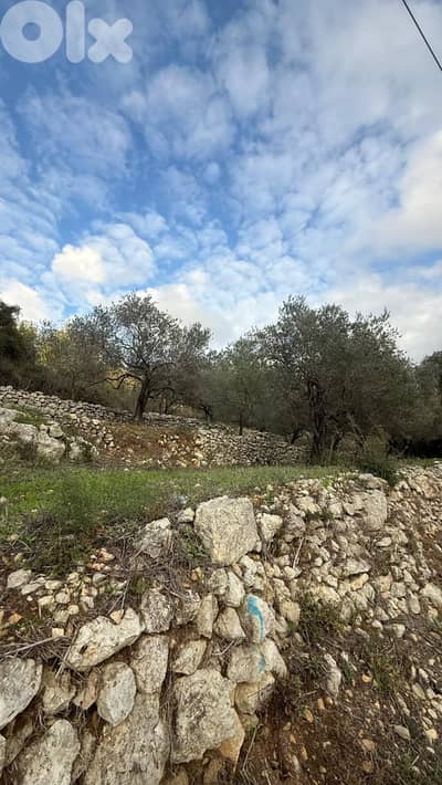 GMB166SA - Land for sale in Batroun - أرض للبيع في بترون