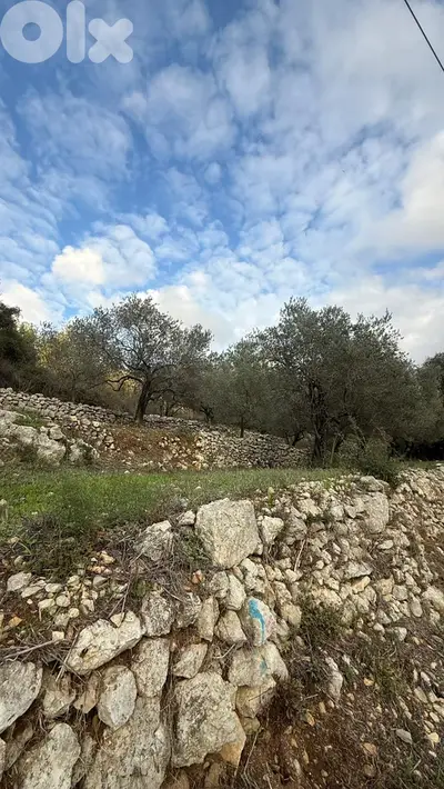 GMB166SA - Land for sale in Batroun - أرض للبيع في بترون