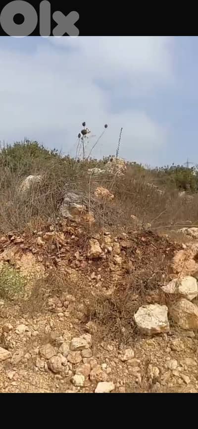 ارض ١٣٩٣م للبيع في الدبية