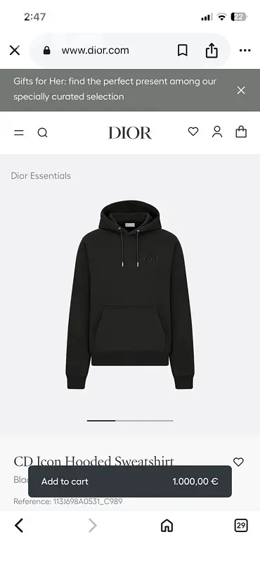 Dior hoodie