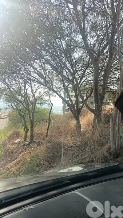 biaqout land for sale ارض للبيع في بياقوت biaqout land for sale ارض للبيع في بياقوت