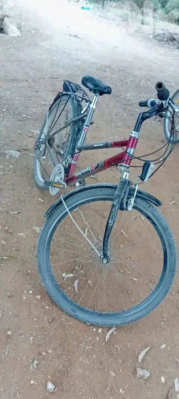 عدلون