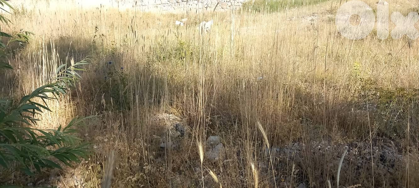 RWK176GZ - Land for sale in Tilal Al Assal 0