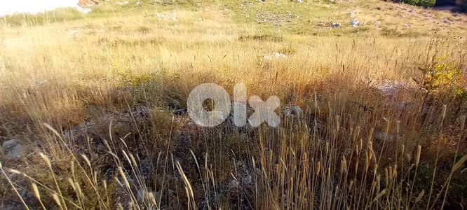 RWK176GZ - Land for sale in Tilal Al Assal