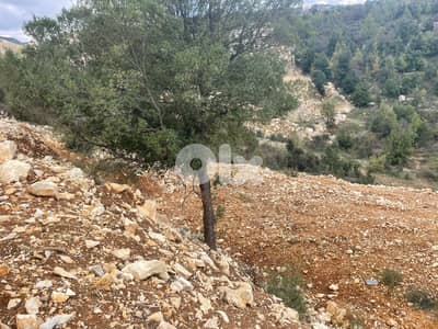 RWB193PK - Land for sale in Mechmech Jbeil