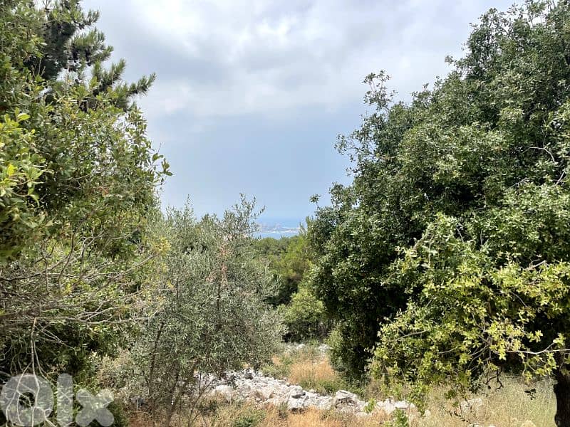 RWK326JA - Land for sale in Chnaneir Keserwan 0