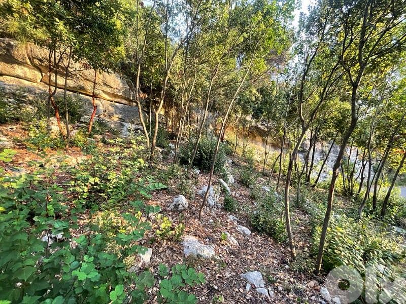RWK109JA - Land for sale in Chnaniir Keserwan 0