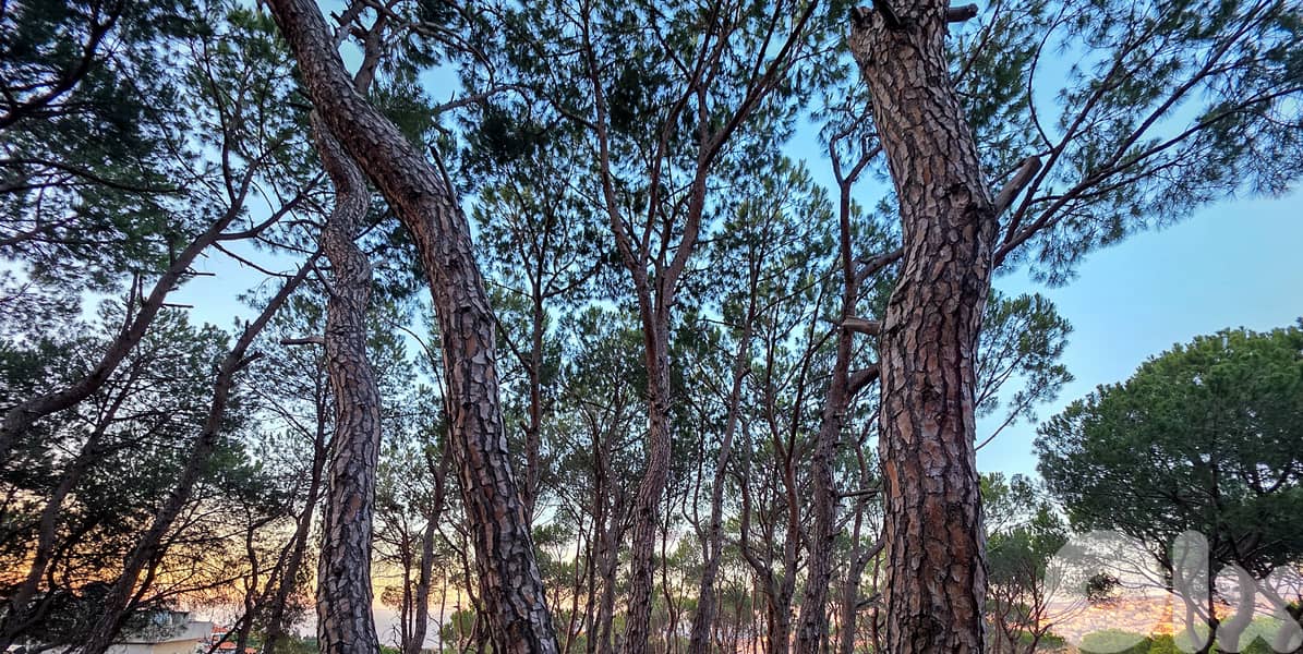 600 SQM Good Location Land in Beit Chabeb, Metn with Breathtaking View 1