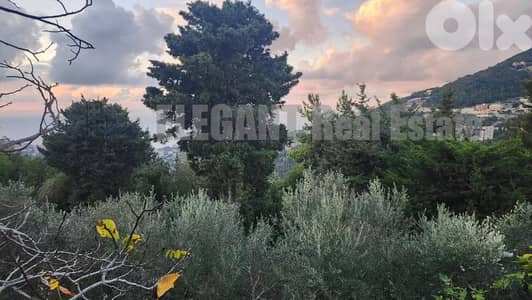 Attractive Land | Kfour | 860 Sq. m