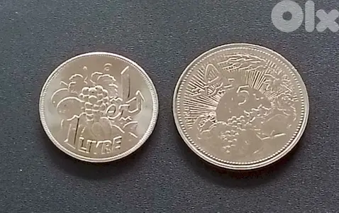 ليرة وخمس ليرات لبنانية الفاو