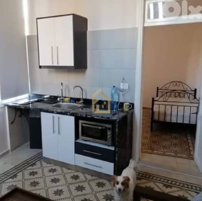 Apartment for rent in Achrafieh ML457 شقة  للإيجار  في الأشرفية