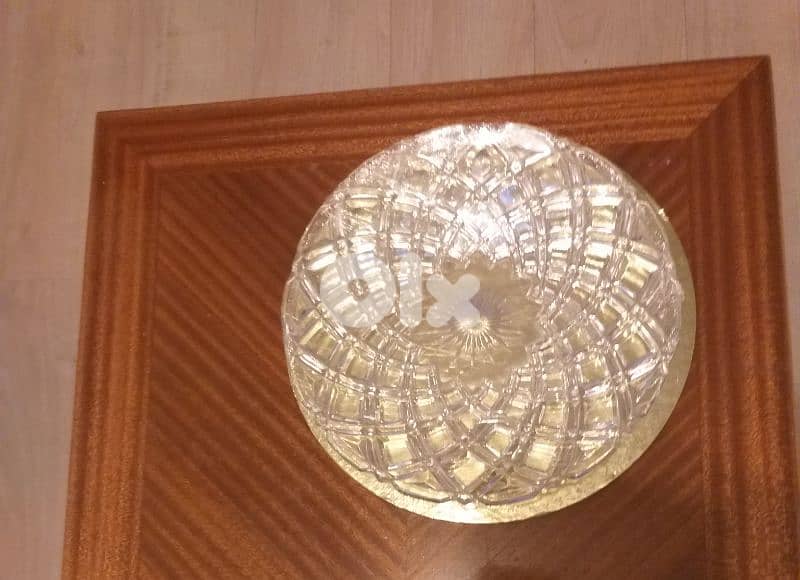 A rare model serving Plate 1