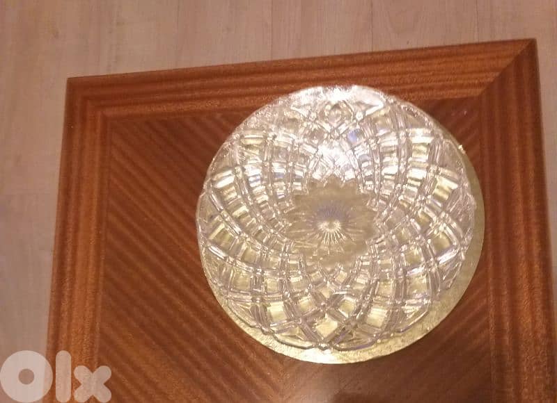 A rare model serving Plate 6